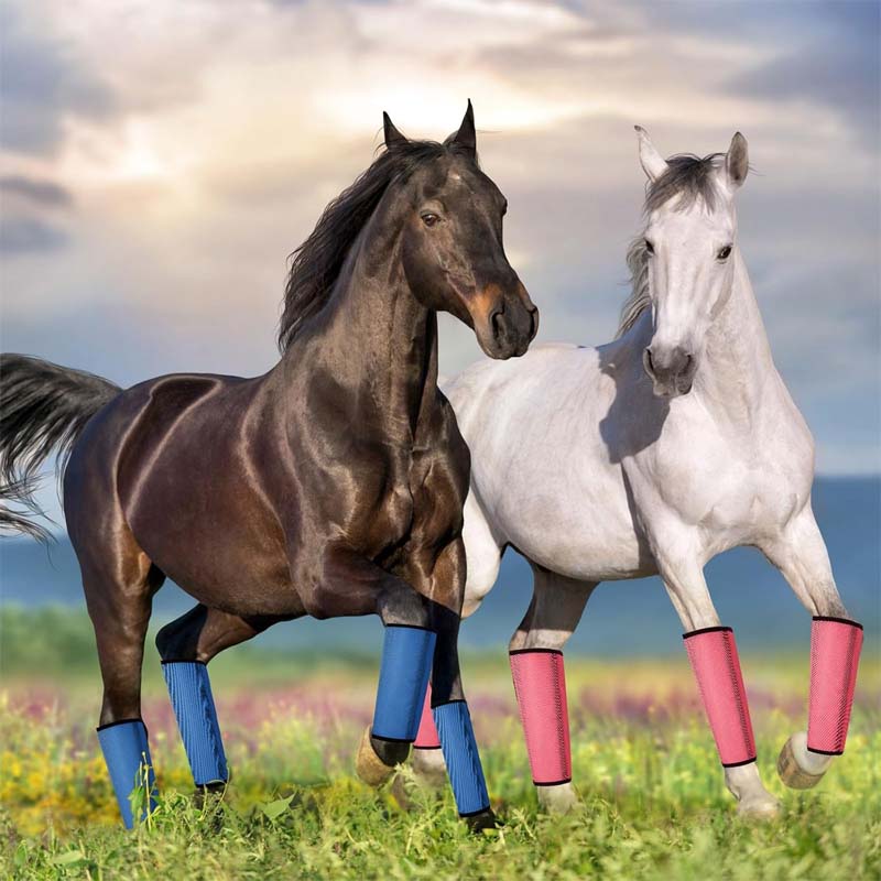 🐎Andningsbara mesh-leggings som skyddar mot hästflugo✨