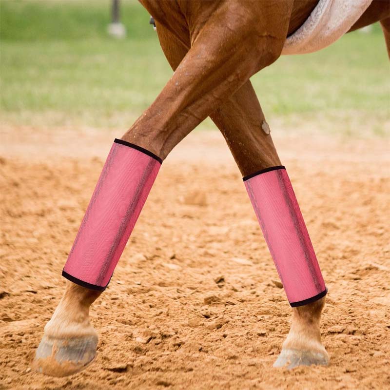 🐎Andningsbara mesh-leggings som skyddar mot hästflugo✨
