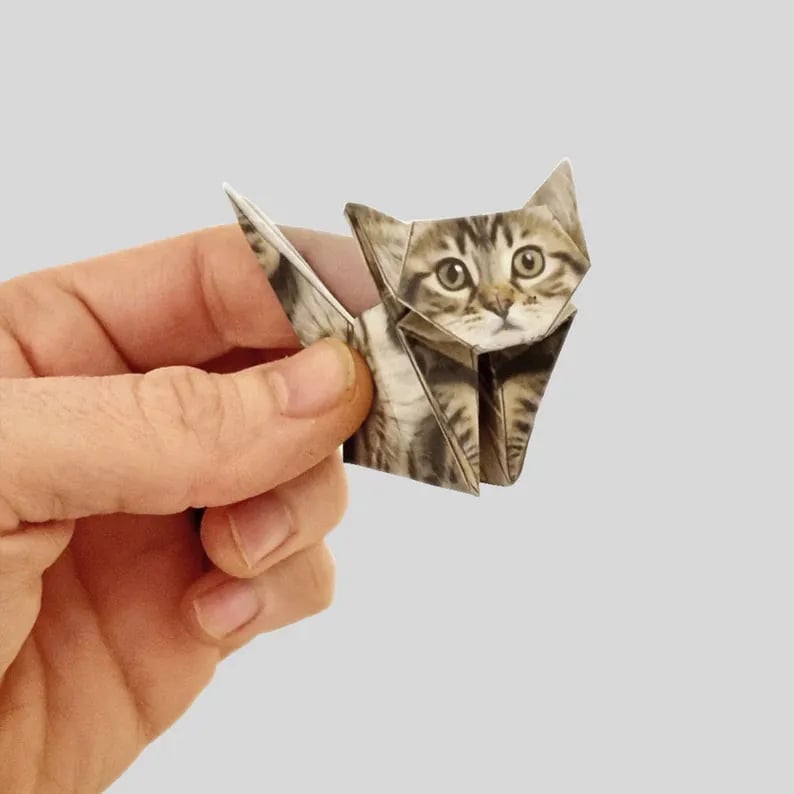 đ±DIY-papperskatter