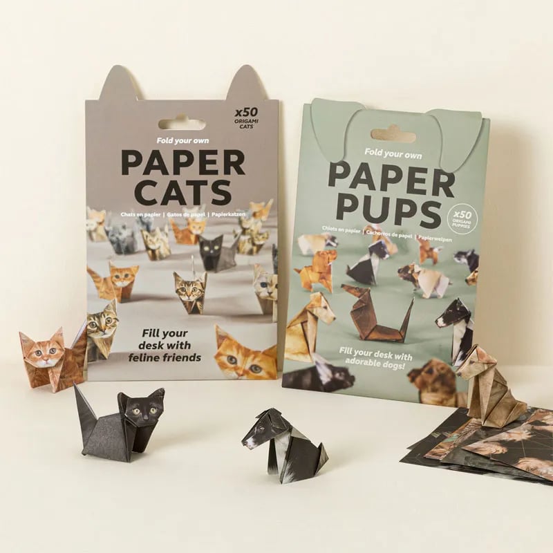 🐱DIY-papperskatter