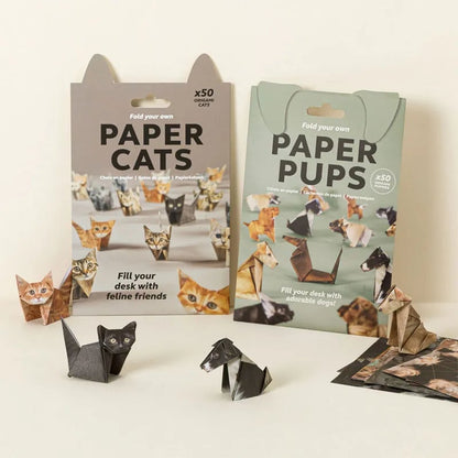 🐱DIY-papperskatter