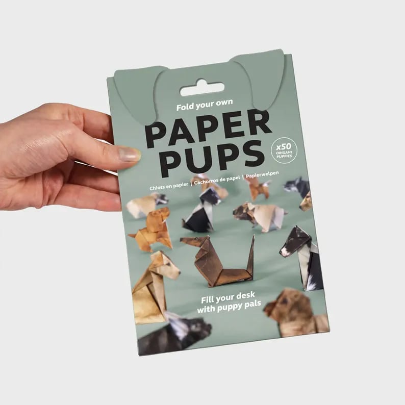 🐱DIY-papperskatter