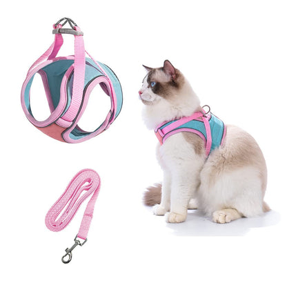 💖✨Sele och koppel för kat