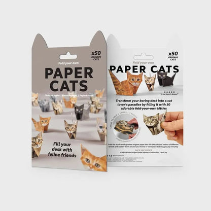🐱DIY-papperskatter