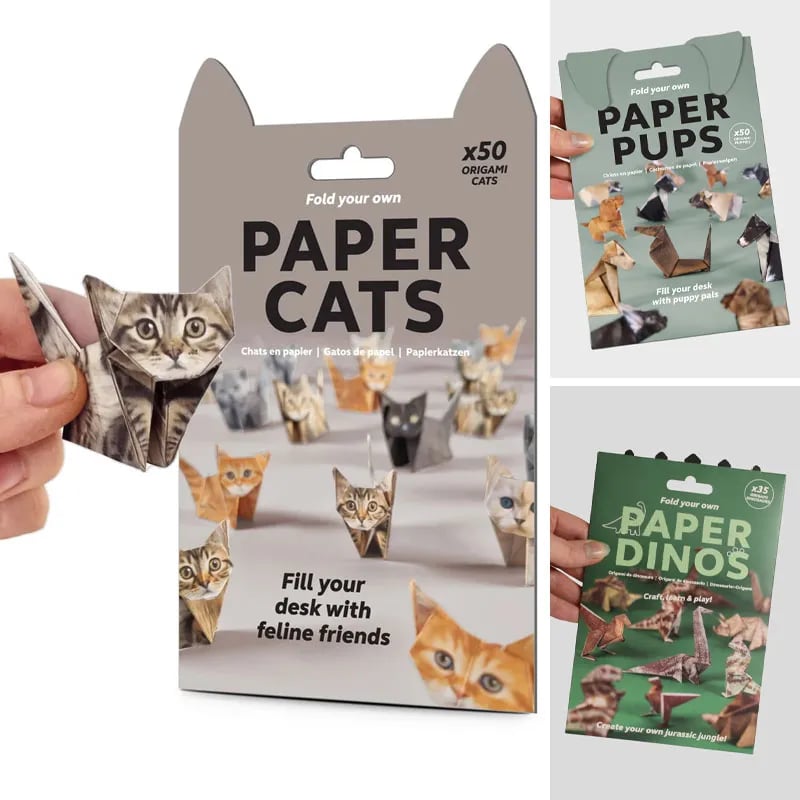 🐱DIY-papperskatter