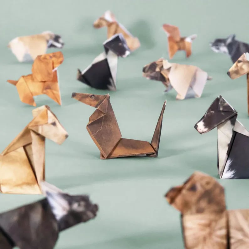 🐱DIY-papperskatter