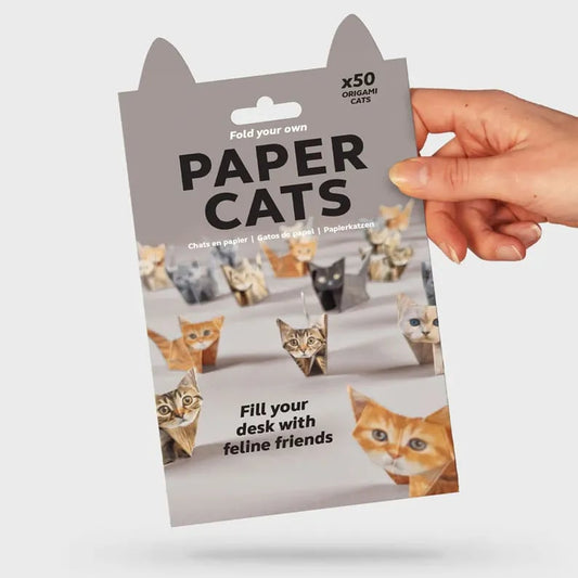🐱DIY-papperskatter
