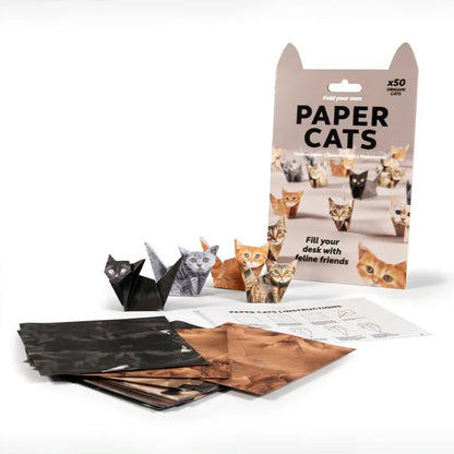 🐱DIY-papperskatter